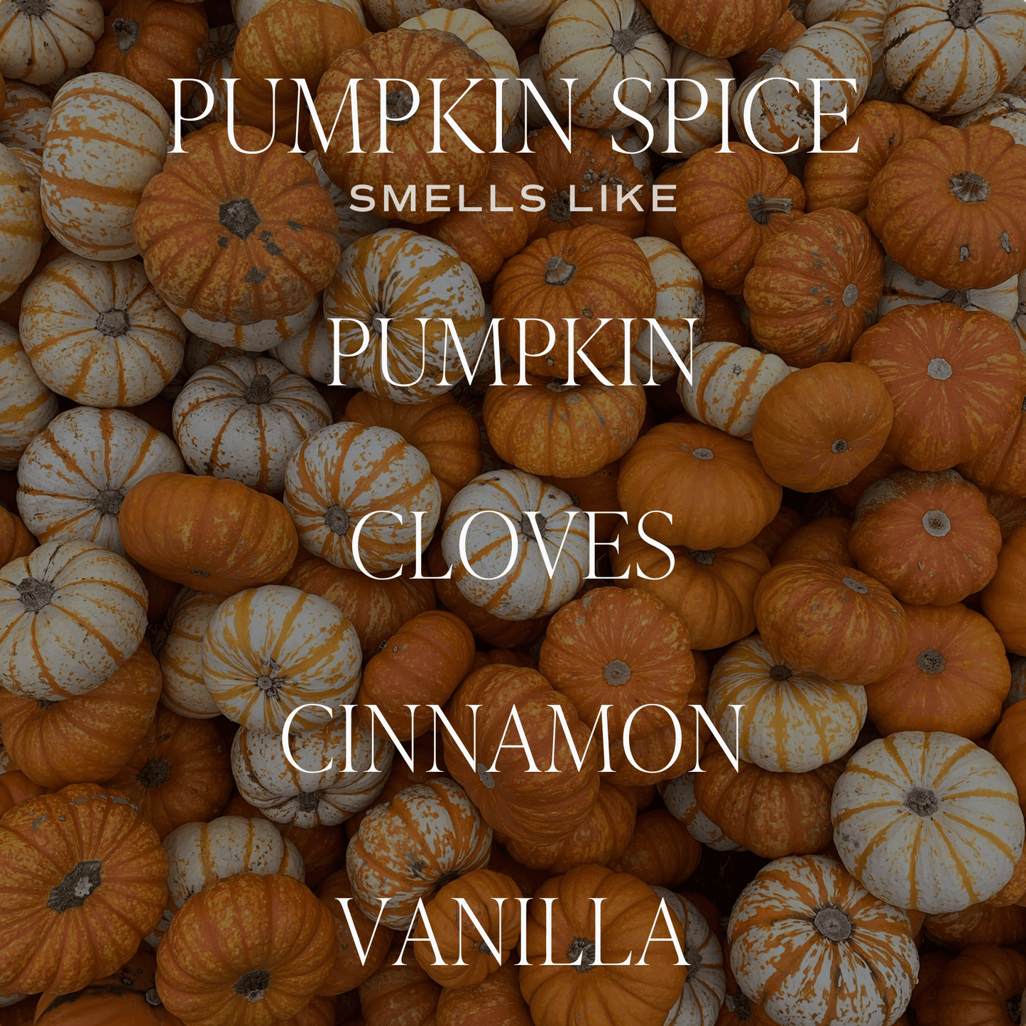 Pumpkin Spice 12 oz Candle - Fall Decor and Gifts