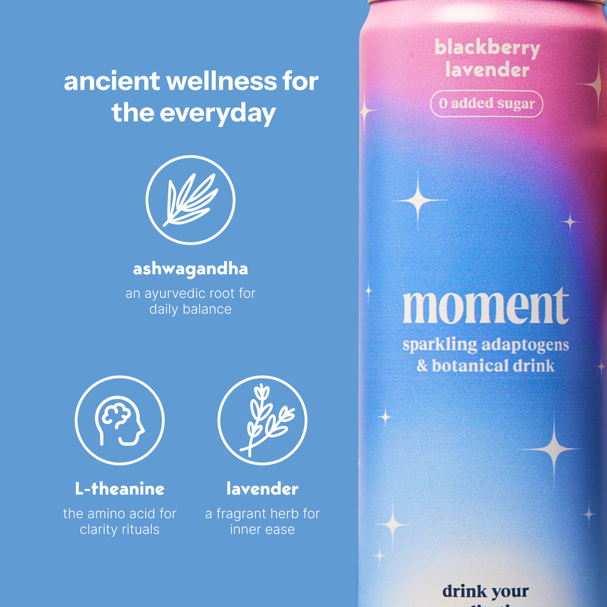 Blackberry lavender (12 Pack)